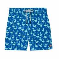 Read Tom & Teddy USA & Canada Reviews